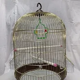 CENTRAL FISH AQUARIUM Bird Cage For Budgies,Finches,Love Birds,Cuttlefish Boneholder,Cuttlefish Bone,2 Plastic Perch,2Cups,Swing (H: 18 Inches/Circumference : 12 Inches)-(004 Gold)-image-70