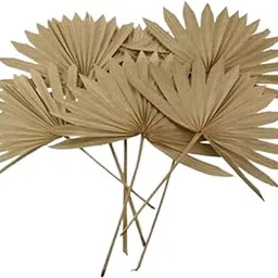 JOYNAGAR Dried Palm Leaves Spear Sun Cut for Flowervase Decoration | Boho Flowers |5 Pcs 18 Inch Height Pack | Exotic Home Decor for Living Room-picture-12