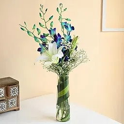 FlowerAura Fresh Live Flower Bouquet of 1 Lily With 3 Blue Flower In Glass Vase For Birthday Gift, Anniversary Gift, Wedding Gift, Congratulations Gift & Gift For Special Occasions (Same Day Delivery)-image-85