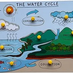 Winkslab: Nature's Recycling System: The Wonders of The Water Cycle-picture-11