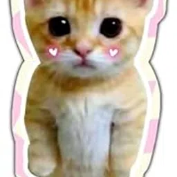 Meme Cat Acrylic Fridge Magnet || Meme Cat Theme || Home Decore Gift Birthday Velentine Boyfriend Waterproof Glass Like Finish-picture-27