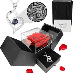 Artificial Preserved Red Rose, I Love You in 100 Languages Heart Necklace with Rose Gift Box for Mom Wife Girlfriend, Valentine's Day Gift Anniversary Birthday Gift for Women-image-87