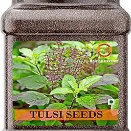 Kartik Export Ram Tulsi Seeds for Eating, Rama Tulsi Beej For Eating, 250 Grams Jar Pack-picture-51