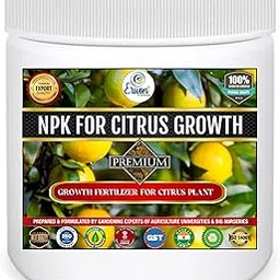 Erwon® NPK for Citrus Growth (200 gm citrus growth NPK)-picture-29