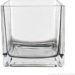 Fourwalls Square Glass Vase (8 cm x 8 cm x 8 cm, Transparent, GV SQ 3X3-7402-175)-picture-16