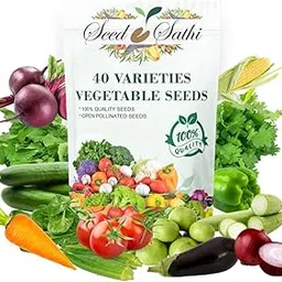 Seed Sathi 40+1(free) Variety Green Leafy Vegetable Seeds for Home Garden Winter Season Vegetable Seed Combo Pack-picture-10