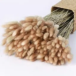 Donghome 120pcs 17" Bunny Tails Dried Flowers Brown Pampas Grass Natural Rabbit Tail Grass Dry Floral Arrangement for Boho Wedding Decor,Baby Birthday Party-picture-10