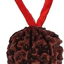 Choose Your Natural Certified Nepali Rudraksha 1 to 13 Mukhi Ganesh Gauri Shankar Simple Pendant with Red Thread Shiva Astrology Jewellery for Men Women-image-4