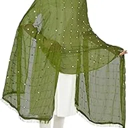 Plastic Mirror Work Embroidered Chiffon Dupatta for Womens & Girls-image-27