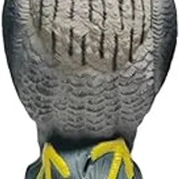SECRET DESIRE Garden Protector Scarecrow Outside Farm Home Bird Control Eagle Decoy Statue Black Eyes-image-96