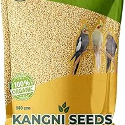 Digital Gardening Foxtail Millet (Kangni), Bird Food for High-Fiber Balanced Nutritious Daily Diet for All Bird Types. For All Life Stages Lovebirds,Parrots & Parakeets (900 gm)-picture-13