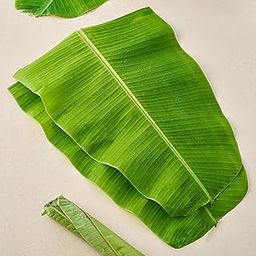 generic Fresh Banana Leaf (pack of 5)-picture-18