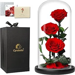 Cyrabota Preserved Flowers Gift, Forever Roses in Glass Dome, Long Lasting Eternal Flower Rose Home Decor for Women Mom Wife Girlfriend Grandma (Red)-image-5