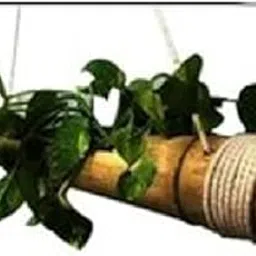 RARE OCEANS Bamboo Hanging Pot for Plant (1) image 1