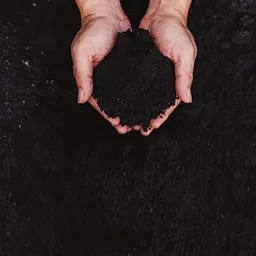 Organic Worm Compost/Vermicompost for Plants-1Kg Gardens & Soil – Natural Fertilizer for Healthy Growth, Soil Amendment, and Sustainable Gardening,Worm Casting,Worm Compost-image-88