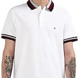 Tommy Hilfiger Men's Cotton Regular Fit Polo T-Shirt-picture-16