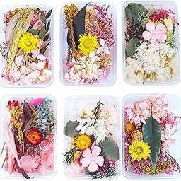FlyBuy Hub Natural Real Dried Flowers for Art Craft,Decoration Dry Flowers, Bouquet Craft, Vase and Decoration Friendly, Perfect Dried Flowers for Resin Art and DIY ( Pack of 1 Box ) Multicolor-image-4
