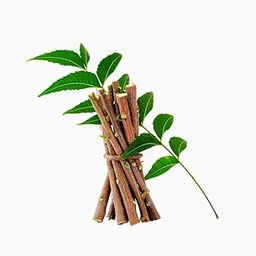 Ayurvedic Natural Organic Neem Datun Toothbrush Nim Tree Twigs Chew Sticks for Brushing Teeth Removes Bad Breath, Relieve Tooth Ache, Healthy Toothpaste (Pack of 30)-image-73
