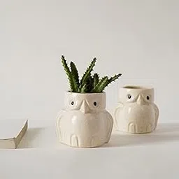 LOCALKALA Elegant Ceramic Owl Planters (Set Of 2) Indoor Planter Plant Pot With Drainage Hole For Table/Desk/Gifting/Garden Size (6 Cm X 7.5 Cm) - Without Plant,Off White-picture-47