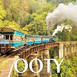 OOTY Fridge Magnet-picture-40