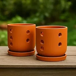 The Handicraftian Exclusive Terracotta Modern Orchid Medium Planter for Indoor Outdoor and Home Dcor (6 Inch-Set of 2)-image-39