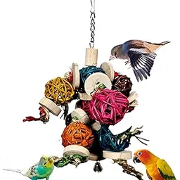 Addy PETCARE Bird Toys | Model - 18041 | Medium and Large Bird Toy | Cuttle Fish Bones | Food | Treats for Lovebirds Parrots, Budgies, Finches, Parakeets, and Other Birds.-picture-24