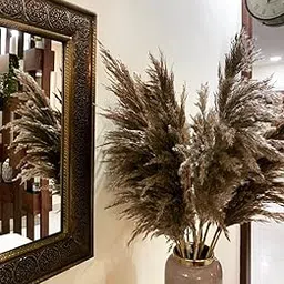 10 pcs Medium Dried Pampas Grass Reed Grass uses in Decoration of Homes , Parties ,Weddings etc-picture-38