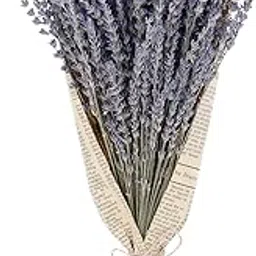 LICHTS®Dried Lavender Flower Bunches Dried Lavender Flowers for Home Bar DIY Crafts|Home & Garden|Home Decor| Floral Decor|1Pcs Dried Lavender Bundle-picture-28
