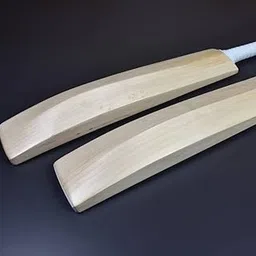 Gorden White Edition Selected English Willow Cricket Bat with Cover | Size : Long Handle-image-73