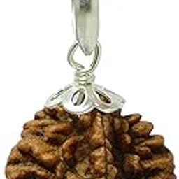 rudradivine 2 Mukhi Rudraksha Two Faced Pendant Rudraksha Original & Certified Rudraksh for Men and Women-picture-38