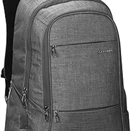 cosmus Darwin Dx Laptop Backpack - 29 litres Linen Polyester Durable Fabric Office Laptop Bag-picture-39