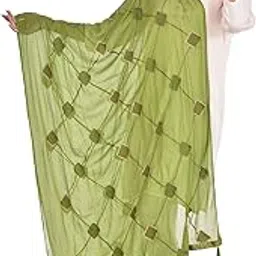 youthquake Box Embroidered Work Chiffon Dupatta for Womens & Girls with Latkan-picture-38