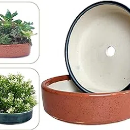 PLANTORI Succulent Pots, Succulent Planter Pots for Plants, Bonsai Pots [Flat Trays for Plants, Height-1.75 inches Dia- 6 inches], Set of 2 Ceramic Flower Pots for Succulents (Multicolor)-picture-26