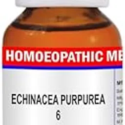 ECHINACEA PURPUREA 6 CH-picture-50