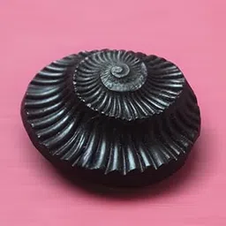 GangTarang Sudarshan Shaligram Stone from Nepal Gandaki River - Chakra Puja Saligram, Black (3 INCH)-picture-40