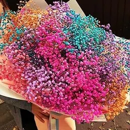 Arte Casa Decorative Baby Breaths Naturally Dried Flower for Vase Filler for Home Dcor|Indoor |Office Dcor (Multicolor, 50 Stem)-image-17