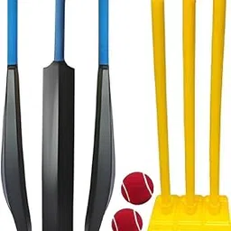 Cricket Set with PVC Bat, Wickets and 2 Red Tennis Balls-picture-51