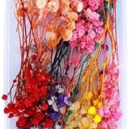 1 Box Natural Dried Baby Breath Flowers | Real Pressed Flowers for Resin Art, DIY Crafts, Nail Art, Candle & Soap Making Jewellery, Pendant (Babysbreath) (Multicolor)-image-82