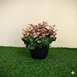 Artificial Pink Flowering Plant, Dried Plant with Matte Black Pot, 65-70COM (1), Multicolor, Home Decor, 0.25 KG-picture-24