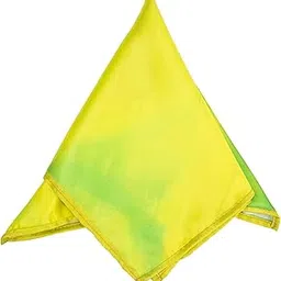 to the nines Men's Lemon Pocket Square-picture-34