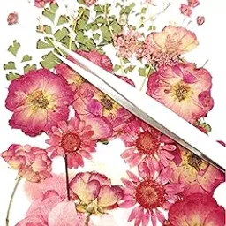 SODEE Pressed Dried Flowers for Resin Art - Natural Dry Pressed Flowers for Decoration, Candle Making, Soap Making, Nail Art & DIY (Pack of 1, Assorted)-image-14