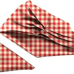 blacksmith Red Gingham Checks Printed Satin Neckwear Ascot and Matching Pocket Square Set for Men-picture-18