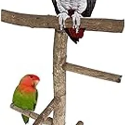 KSK Parrot Birds Perches Paw Grinding Toy Cage Wooden Stand Toy Activity Branches Climbing 4 Stairs for Cockatiels,Love Bird, Conure Size Bird-picture-15