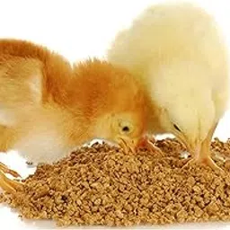 Grower Chicken Feed for Young Chicken This Feed Have All nutritions That Chicken Wants to Grow Fast 3.5kg Packet,Natural-picture-53
