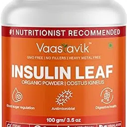 Vaastavik Insulin Leaf Costus Igneus Powder Blood Sugar Support 100gm-picture-34
