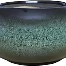 UrbanRoots Bonsai Ceramic Tray Pot (Avocado Green)-picture-30