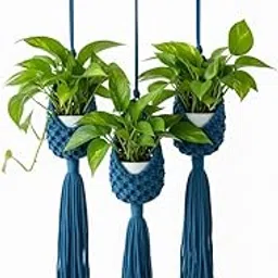 Handcrafted Macramé Hanging Pods – Pack of 3 Boho Cotton Tassel Pouches | Eco-Friendly Hanging Planters, Wall Baskets & Home Decor Blue Colour-image-27
