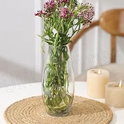 Papaya Clear Glass Cylindrical Vase Set Suitable for Home Décor,Flower Arrangements,Centerpieces,Gifts(Size-8 Inch)(Pack of 1)-picture-18