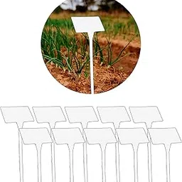 Little Forest - Plant Labels T-Type, 16-inch Yellow & White Garden Markers, 2.5 x 4 inch Writing Area, Waterproof Reusable Plastic Stakes, Pack of 10 (White) image 1