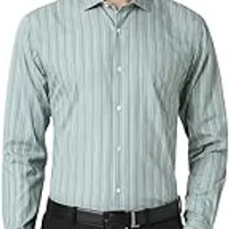 peter england Men's Striped Slim Fit Shirt-picture-23